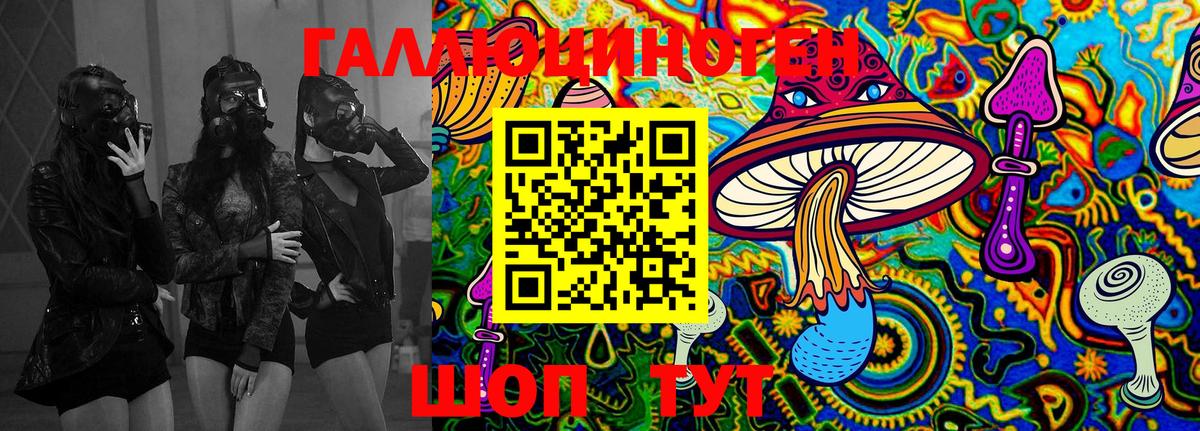 Псилоцибиновые грибы Psilocybine cubensis Петропавловск-Камчатский
