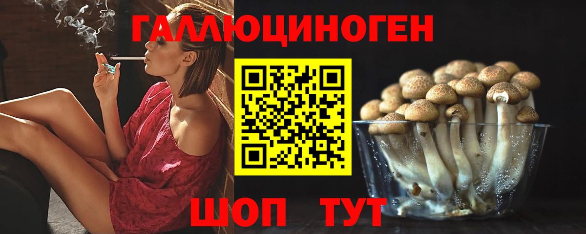 Псилоцибиновые грибы Magic Shrooms  Псилоцибиновые грибы прущие грибы  Вход с VPN  Петропавловск-Камчатский 
